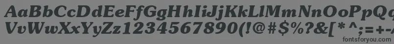 ItcSouvenirLtBoldItalic Font – Black Fonts on Gray Background