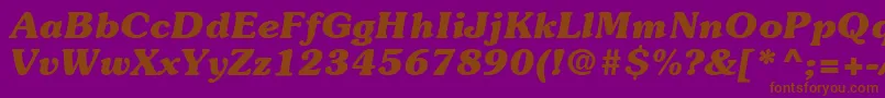 ItcSouvenirLtBoldItalic Font – Brown Fonts on Purple Background