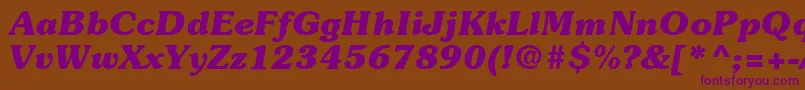 ItcSouvenirLtBoldItalic Font – Purple Fonts on Brown Background