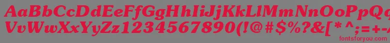 ItcSouvenirLtBoldItalic Font – Red Fonts on Gray Background