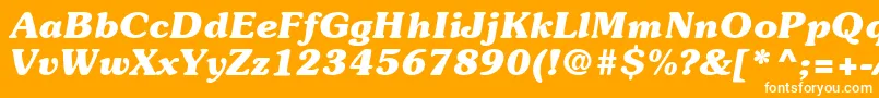 ItcSouvenirLtBoldItalic Font – White Fonts on Orange Background