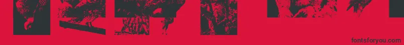 Aparliamentofowls3 Font – Black Fonts on Red Background