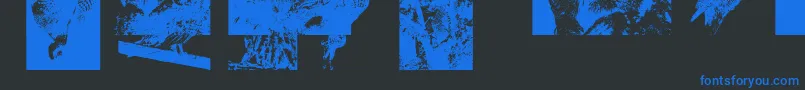 Aparliamentofowls3 Font – Blue Fonts on Black Background
