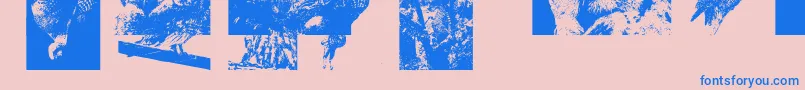 Aparliamentofowls3 Font – Blue Fonts on Pink Background