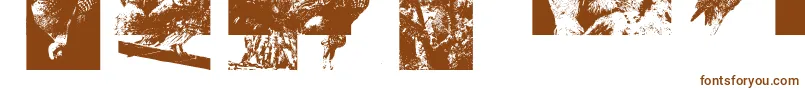 Fonte Aparliamentofowls3 – fontes marrons em um fundo branco