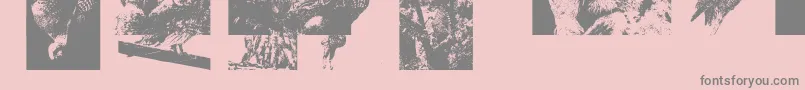 Aparliamentofowls3 Font – Gray Fonts on Pink Background