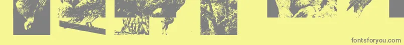 Aparliamentofowls3-Schriftart – Graue Schriften auf gelbem Hintergrund