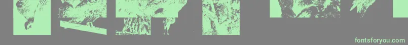 Шрифт Aparliamentofowls3 – зелёные шрифты на сером фоне