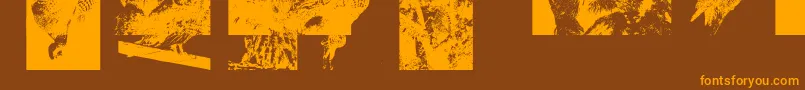 Aparliamentofowls3-Schriftart – Orangefarbene Schriften auf braunem Hintergrund