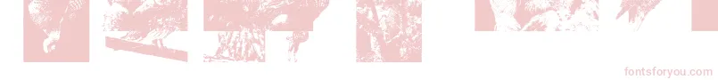 Aparliamentofowls3 Font – Pink Fonts on White Background
