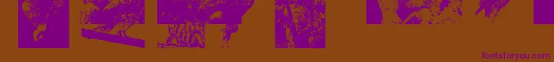 Aparliamentofowls3 Font – Purple Fonts on Brown Background