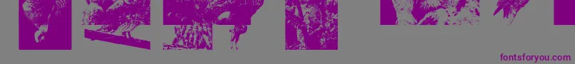 Aparliamentofowls3 Font – Purple Fonts on Gray Background