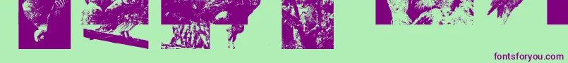 Aparliamentofowls3 Font – Purple Fonts on Green Background