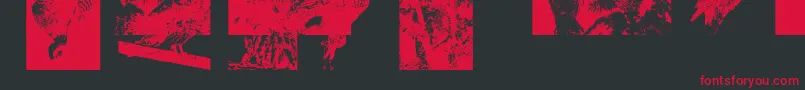 Подробнее о шрифте Aparliamentofowls3 Шрифт Aparliamentofowls3 – красные шрифты на чёрном фоне