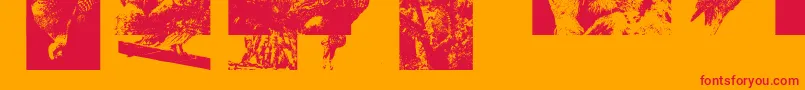 Aparliamentofowls3-Schriftart – Rote Schriften auf orangefarbenem Hintergrund