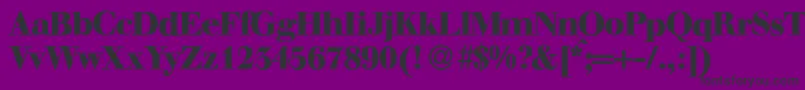 WalbaumdisplayHeavyRegular Font – Black Fonts on Purple Background