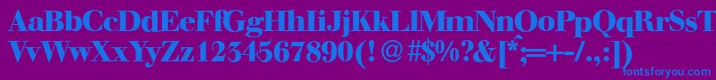 WalbaumdisplayHeavyRegular Font – Blue Fonts on Purple Background
