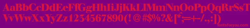 WalbaumdisplayHeavyRegular Font – Red Fonts on Purple Background