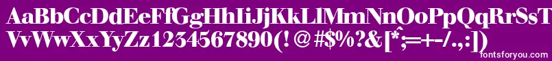 WalbaumdisplayHeavyRegular Font – White Fonts on Purple Background