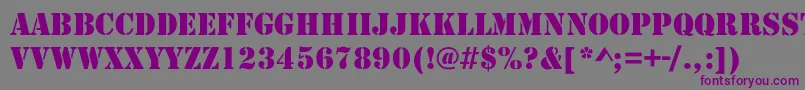Army Font – Purple Fonts on Gray Background