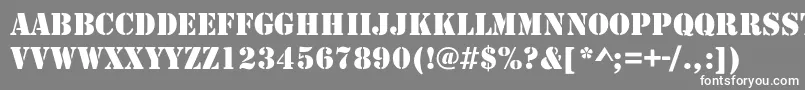 Army Font – White Fonts on Gray Background