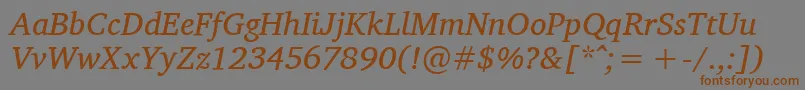 Шрифт CharisSilItalic – коричневые шрифты на сером фоне