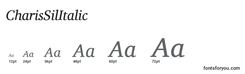 Размеры шрифта CharisSilItalic