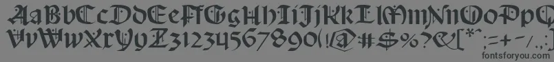Schampel Font – Black Fonts on Gray Background