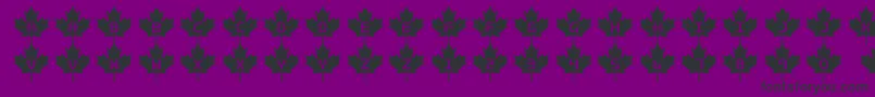 Rcmp2 Font – Black Fonts on Purple Background