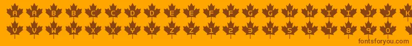 Rcmp2 Font – Brown Fonts on Orange Background