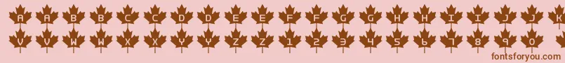 Rcmp2 Font – Brown Fonts on Pink Background