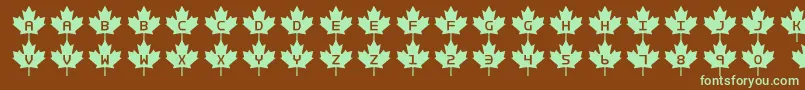 Rcmp2 Font – Green Fonts on Brown Background