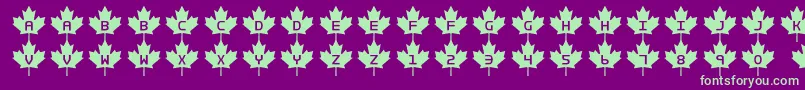 Rcmp2-fontti – vihreät fontit violetilla taustalla