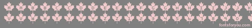 Rcmp2 Font – Pink Fonts on Gray Background