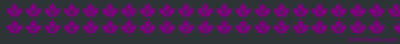 Шрифт Rcmp2 – фиолетовые шрифты на чёрном фоне