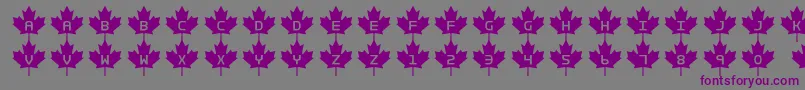 Rcmp2-fontti – violetit fontit harmaalla taustalla