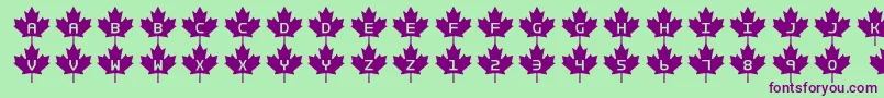 Rcmp2 Font – Purple Fonts on Green Background