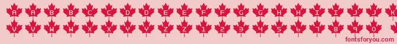 Rcmp2 Font – Red Fonts on Pink Background