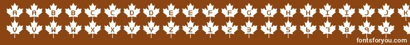 Rcmp2 Font – White Fonts on Brown Background