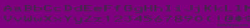 TelidonexhvRegular Font – Black Fonts on Purple Background