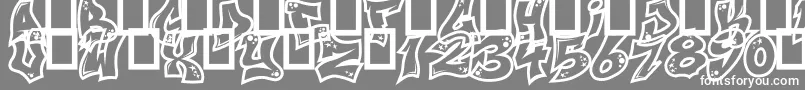 NextCustom Font – White Fonts on Gray Background