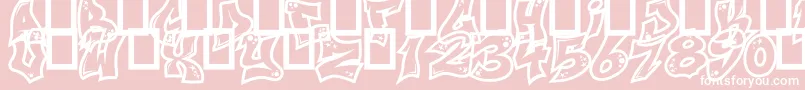 NextCustom Font – White Fonts on Pink Background