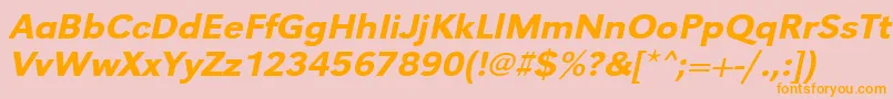 UrwgrotesktmedwidOblique Font – Orange Fonts on Pink Background