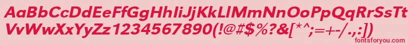 UrwgrotesktmedwidOblique Font – Red Fonts on Pink Background