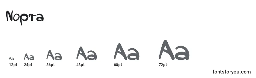 Nopra Font Sizes