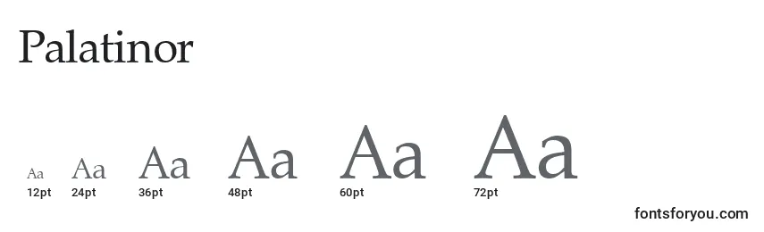 Размеры шрифта Palatinor