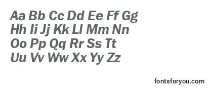 Review of the FranklingothdemiettItalic Font
