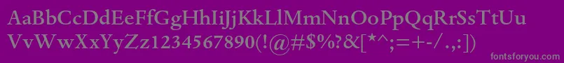 DantemtstdMedium Font – Gray Fonts on Purple Background