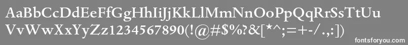 DantemtstdMedium Font – White Fonts on Gray Background