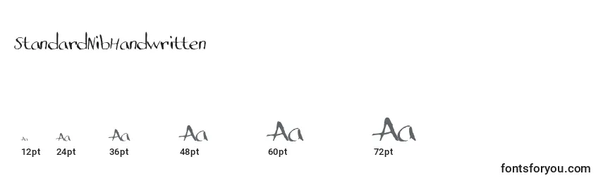 StandardNibHandwritten Font Sizes